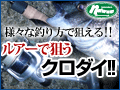 �A�E�g�h�A���X�|�[�c�@�i�`�������@�N���_�C