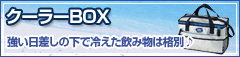 �N�[���[�a�n�w