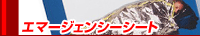 �G�}�[�W�F���V�[�V�[�g