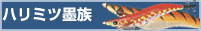 �n���~�c�n��