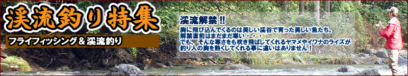 �k���ނ���W