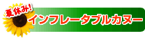 �C���t���[�^�u���J�k�[