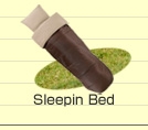 Sleepin'Bed
