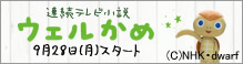 ウェルかめ