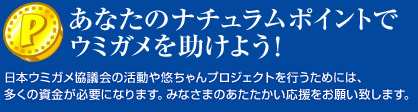 あなたのナチュラムポイントで
ウミガメを助けよう!