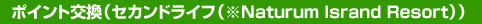�|�C���g�����i�Z�J���h���C�t(��Naturum Isrand Resort)�j