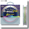 YGKよつあみ RealSports G-soul PE