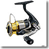 シマノ（SHIMANO） 10ステラ 3000HG