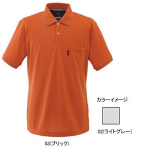ミズノ（MIZUNO） ドライベクター・ライトインナー半袖ポロシャツ Men's XL 02（ライトグレー）