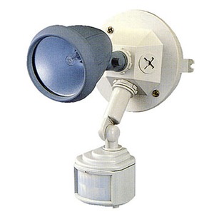 ���C�e�b�N�X(RITEX)�@�Z���T�[����h�J�n���Q���������C�g�@�O���[