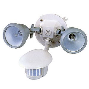 ���C�e�b�N�X(RITEX)�@�Z���T�[����h�J�n���Q���c�[���C�g�@�O���[
