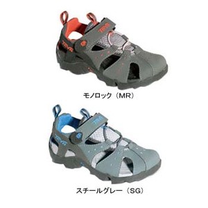 TEVA(�ƥ�)���ˡ��ģ����򡡣�������������������륰�졼�ʣӣǡ�