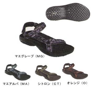 TEVA(�e�o)�@�v�@�o�����������@�q�����������@�Q�@�Q�T�D�O�����@�}�G�A���o�i�l�`�j
