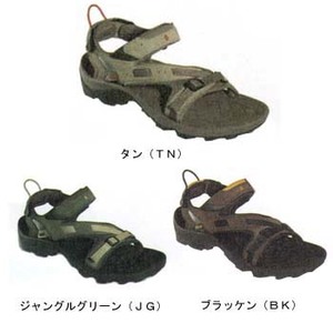 TEVA(�ƥ�)���ӣ�����򡡣��������������������ʣԣΡ�