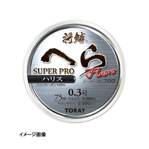 �����t�B�b�V���O(TORAY)�@���؂ւ�@�X�[�p�[�v���t�����n���X�@�O�D�R�T��