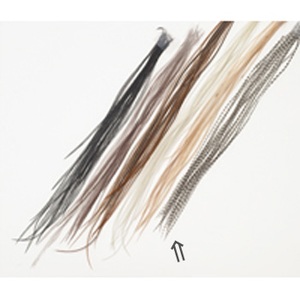 ティムコ(TIEMCO) メッツ・マイクロパック #14 グリズリー