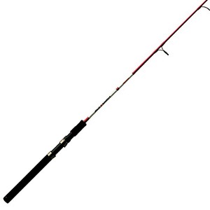 �W���N�\��(Jackson)�@���b�h�@�V���f�B�@�r�c-�U�W