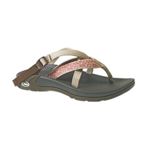 Chaco�i�`���R�j�@�q�b�v�\���O�@�v�f���@�Q�R�D�O�����^�U�@�A���b�T��