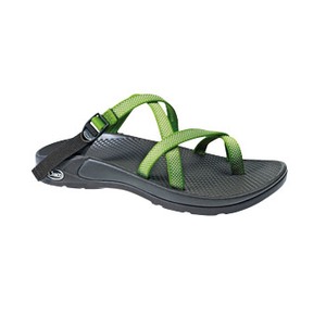 Chaco�i�`���R�j�@�]���O�@�v�f���@�Q�R�D�O�����^�U�@�u���W���A
