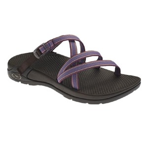 Chaco�i�`���R�j�@���v�\�f�B�@�v�f���@�Q�T�D�O�����^�W�@�A���W�X�g