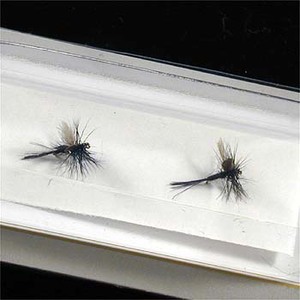 �o���[�q��(ValleyHill)�@�t�B�b�V���[�}���R�[�v�E�I���W�i���t���C�E�~�b�W�@���Q�S�@�T�O�X�@�u���b�N�i�b�g