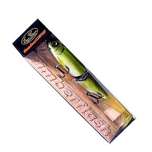 �G�o�[�O���[��(EVERGREEN�j �e�B���o�[�t���b�V��
