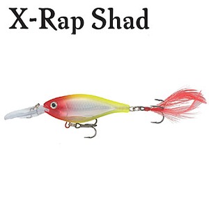 Rapala(���p��)�@�w-�q�`�o�@�c�������@�w�q�c�W�@�n�f�i�I���[�u�O���[���j
