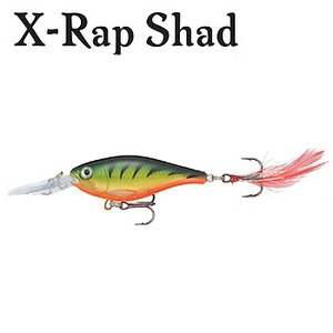 Rapala（ラパラ） XRD8 X-RAP Deep 8cm P（パーチ）
