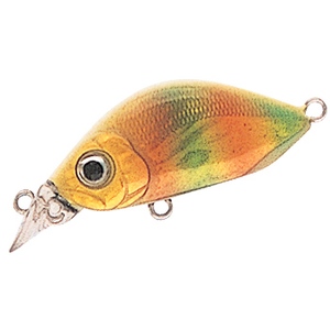 �A���t�@�[�^�b�N��(alpha tackle)�@�G�C�{���@�`-�t���b�g�N�����N�@�R�O�r�@�f�q�v
