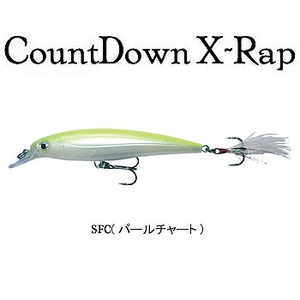 Rapala（ラパラ） カウントダウン X-RAP CDXR10 SFC（パールチャート）