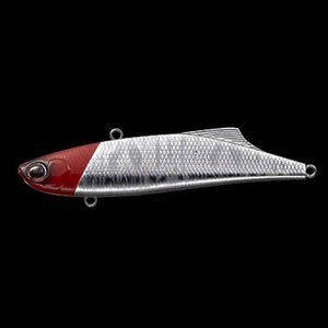 �G�o�[�O���[��(EVERGREEN�j �}�[�r�[�X�O