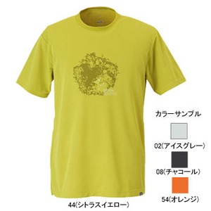 ミズノ（MIZUNO） ドライベクター・プリントTシャツ Men's L 54（オレンジ）
