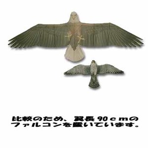 �o�C�I�J�C�g��^�n�N�g�E���V