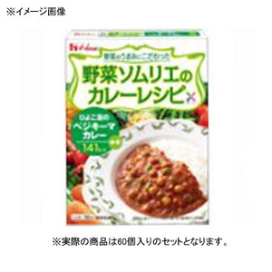 ハウス食品 野菜ソムリエのカレーレシピ ひよこ豆のベジキーマカレー 【1ケース （180g×60個）】