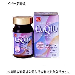 健康フーズ CoQ10 コエンザイムQ10 【1ケース 2個入り】