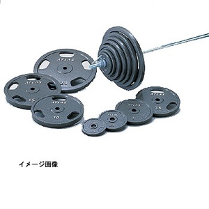 ATLAS ペイントプレート（ハンマートーン） 15kg