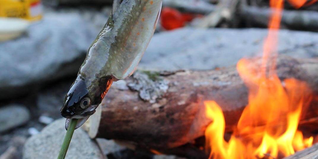 釣った渓流魚は香ばしい塩焼きで味わおう！