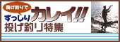 カレイ釣り