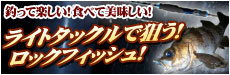 ライトタックルで狙う! ロックフィッシュ!