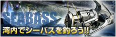 湾内でシーバスを釣ろう!!