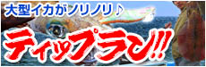 春のティップラン！！