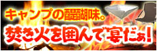 焚き火を囲んで宴だぁ!