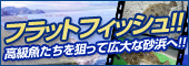 �l�C�̃t���b�g�t�B�b�V��!!