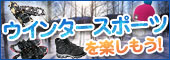�E�C���^�[�X�|�[�c���y������!