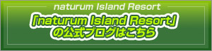 naturum Island Resort�̌����u���O�͂�����