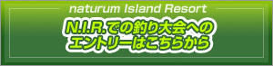 N.I.R.�ł̒ނ���ւ̃G���g���[�͂����炩��