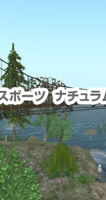 �i�`������ in Second Life