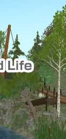 �i�`������ in Second Life