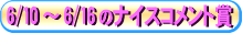�i�C�X�R�����g��