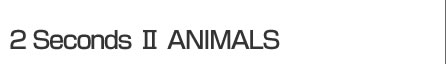 2 Seconds II ANIMALS �freen